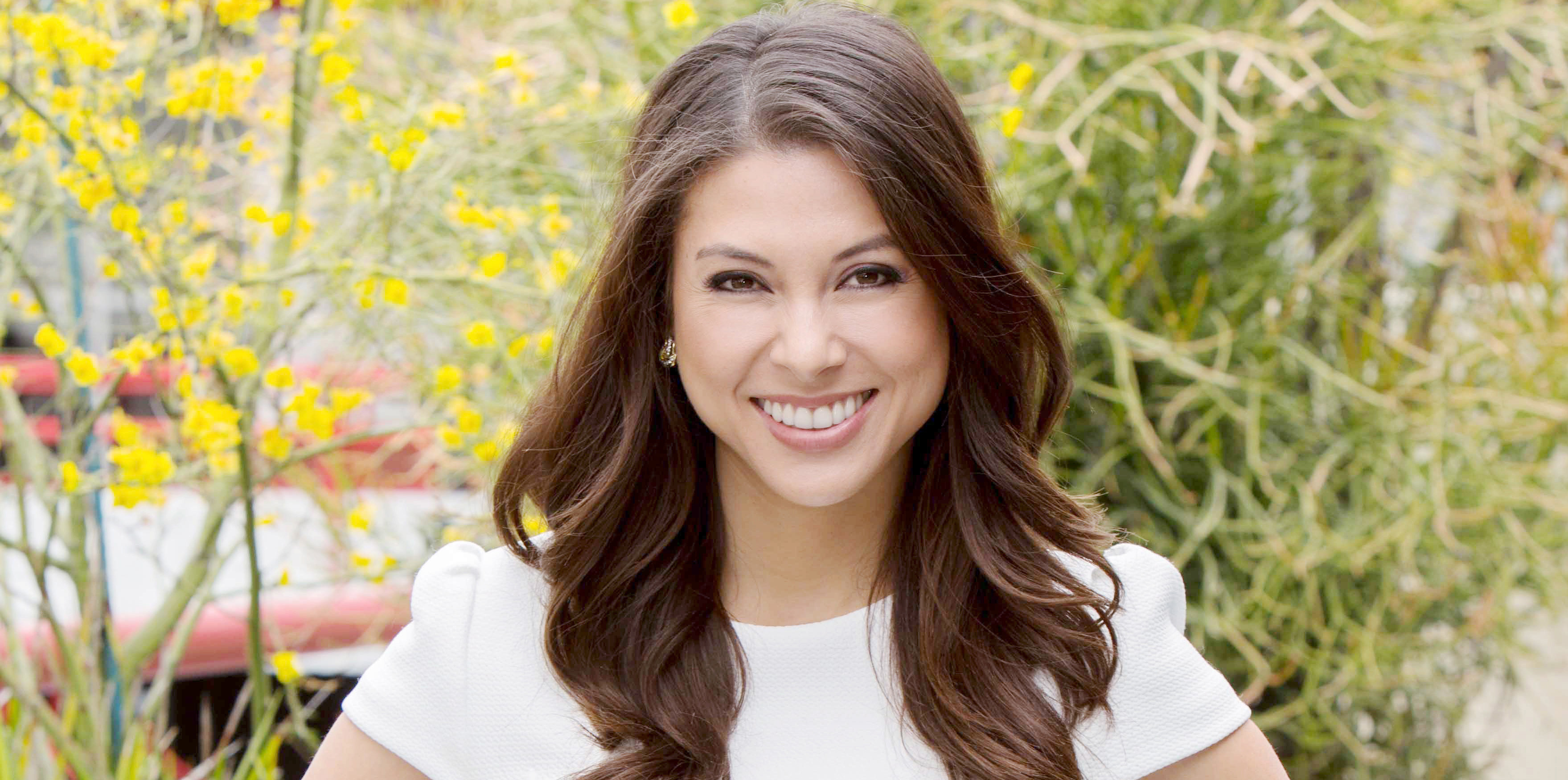 "The Young and the Restless" Set