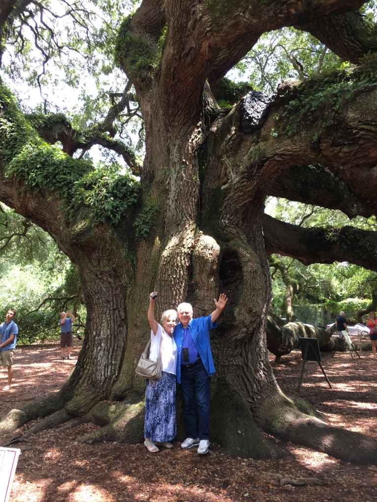 SD3617_wrdays2_08 copy