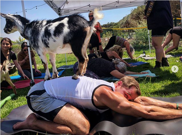 Screen Shot 2018 07 30 at 3.21.25 PM copy