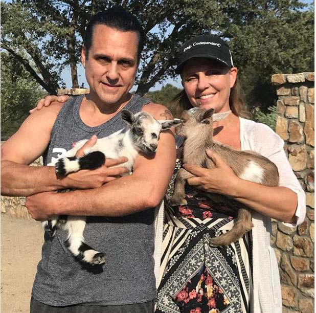 Screen Shot 2018 08 13 at 10.49.20 AM copy