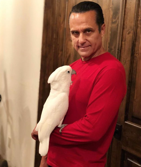 Screen Shot 2018 08 20 at 12.24.05 PM copy