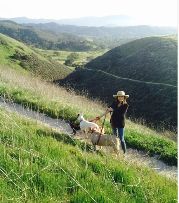 Screen Shot 2018 09 11 at 1.59.42 PM copy