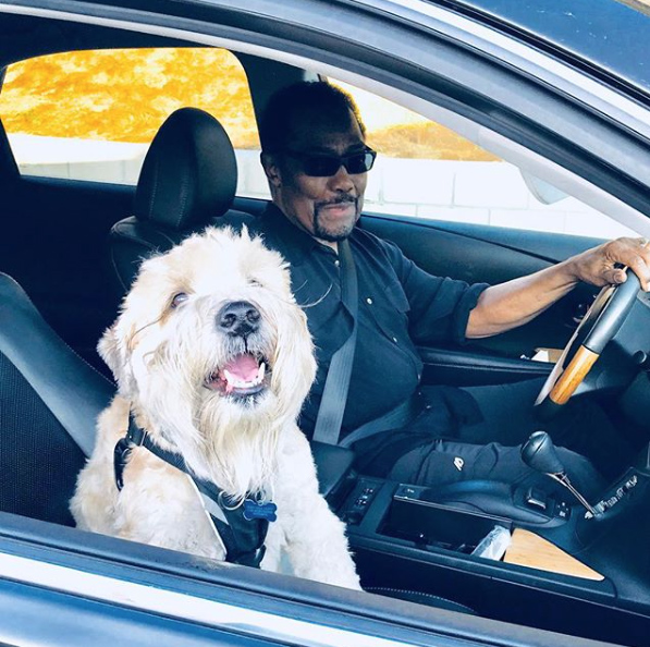 Screen Shot 2018 10 02 at 11.19.20 AM copy