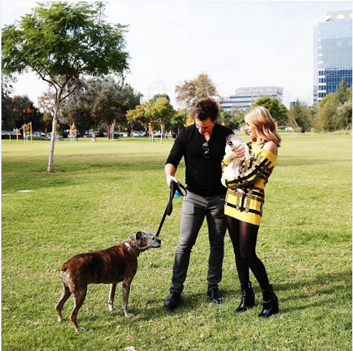 Screen Shot 2018 11 26 at 9.37.28 AM