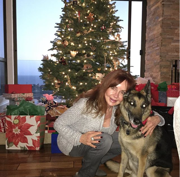 Screen Shot 2018 12 26 at 9.58.18 AM