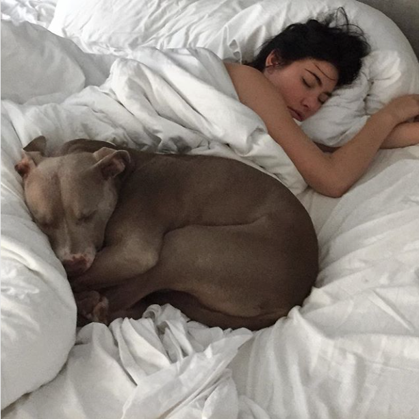 Screen Shot 2018 12 28 at 12.46.30 PM