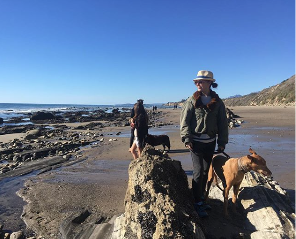 Screen Shot 2019 01 02 at 10.33.21 AM