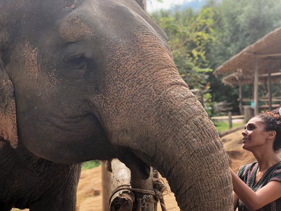 Screen Shot 2019 01 03 at 3.11.32 PM