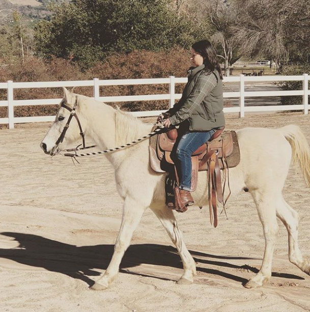 Screen Shot 2019 01 23 at 1.18.42 PM