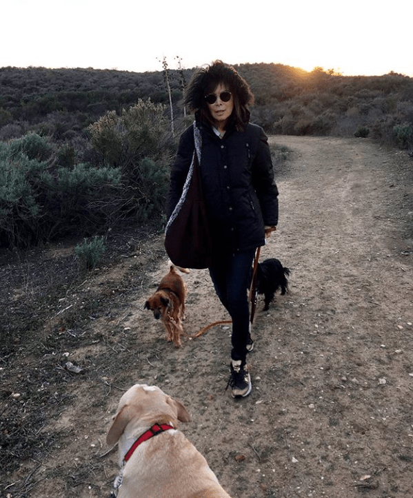 Screen Shot 2019 01 31 at 2.20.51 PM