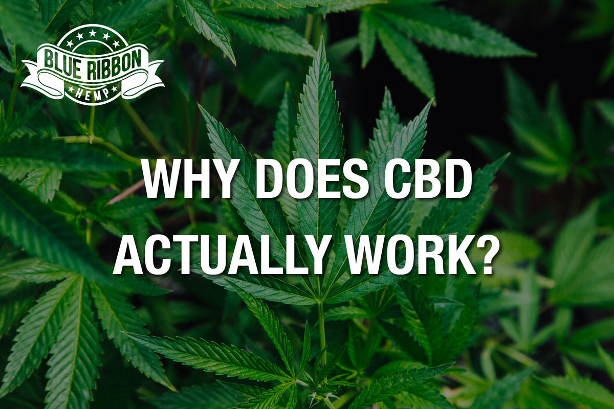 Blue Ribbon Hemp