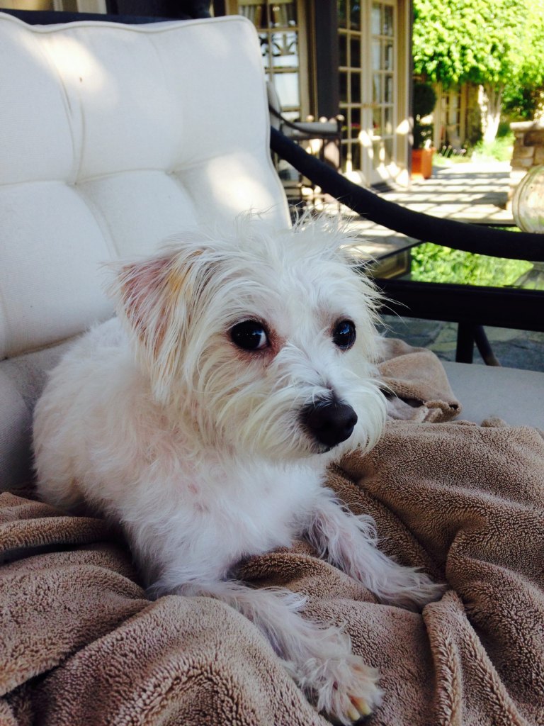 Reilly