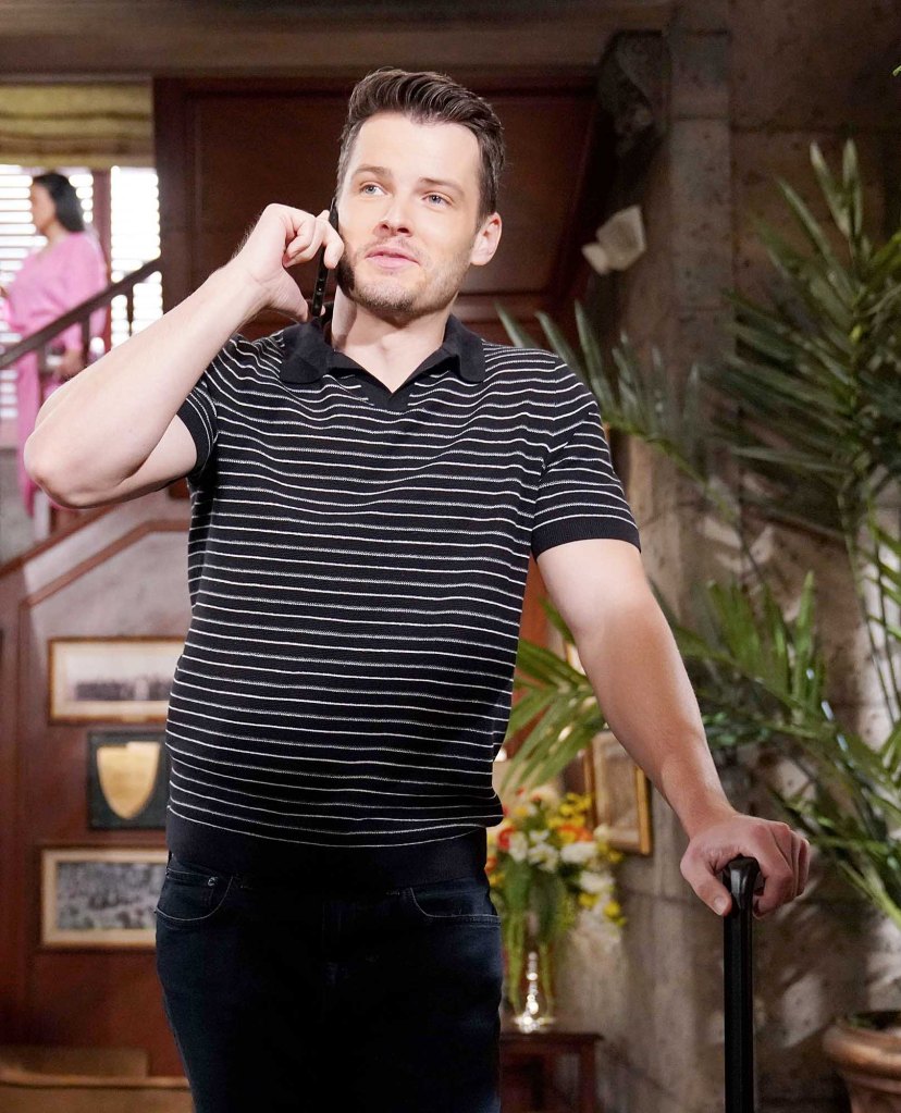 michael mealor, the young and the restless