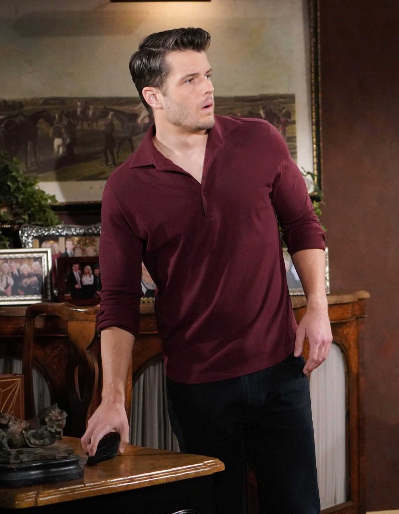 michael mealor, the young and the restless