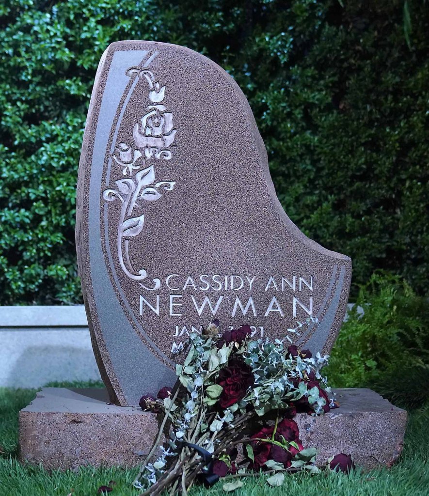 sharon case, the young and the restless