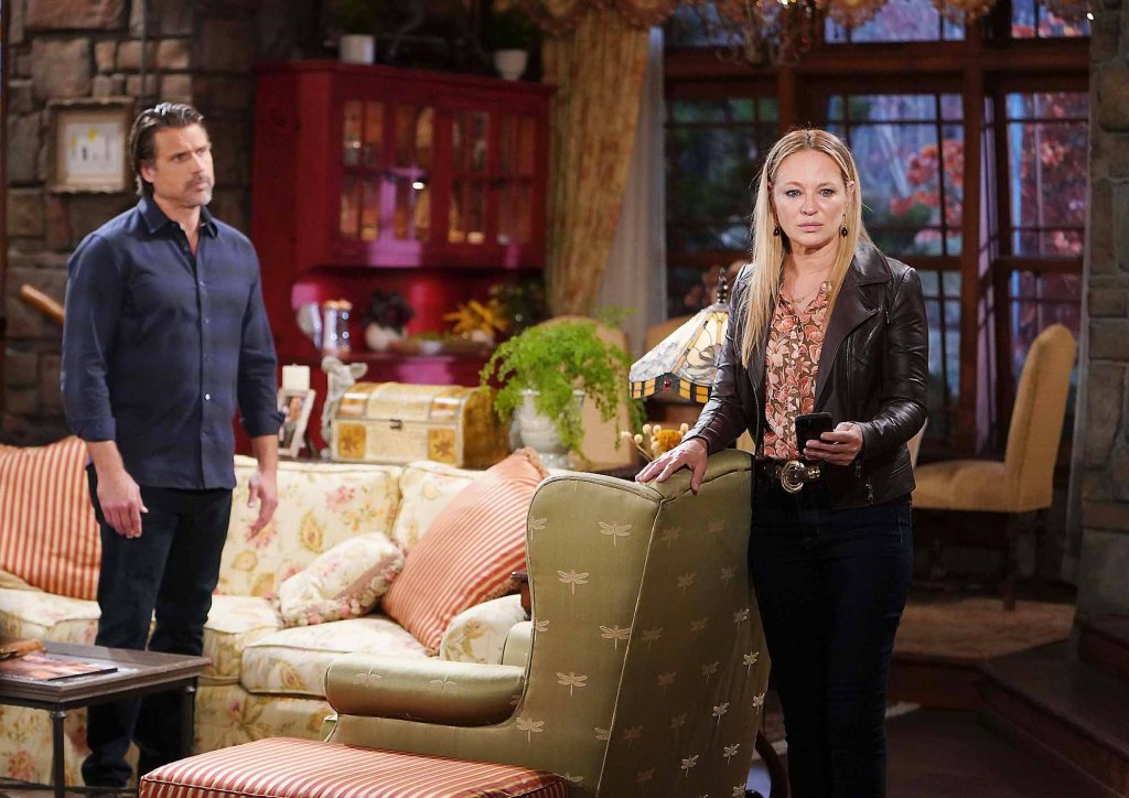 sharon case, joshua morrow, the young and the restless