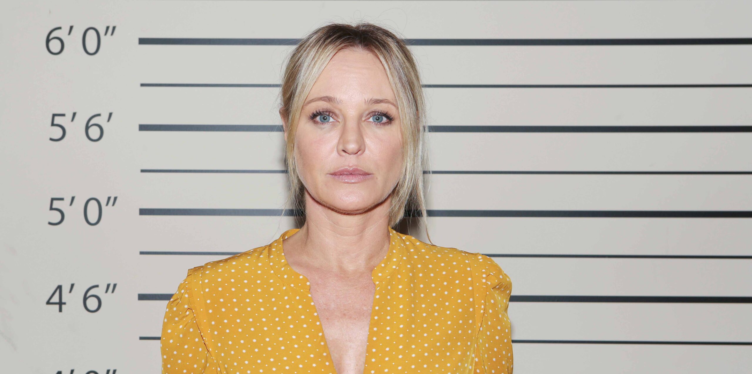 sharon case plays sharon on young and restless.