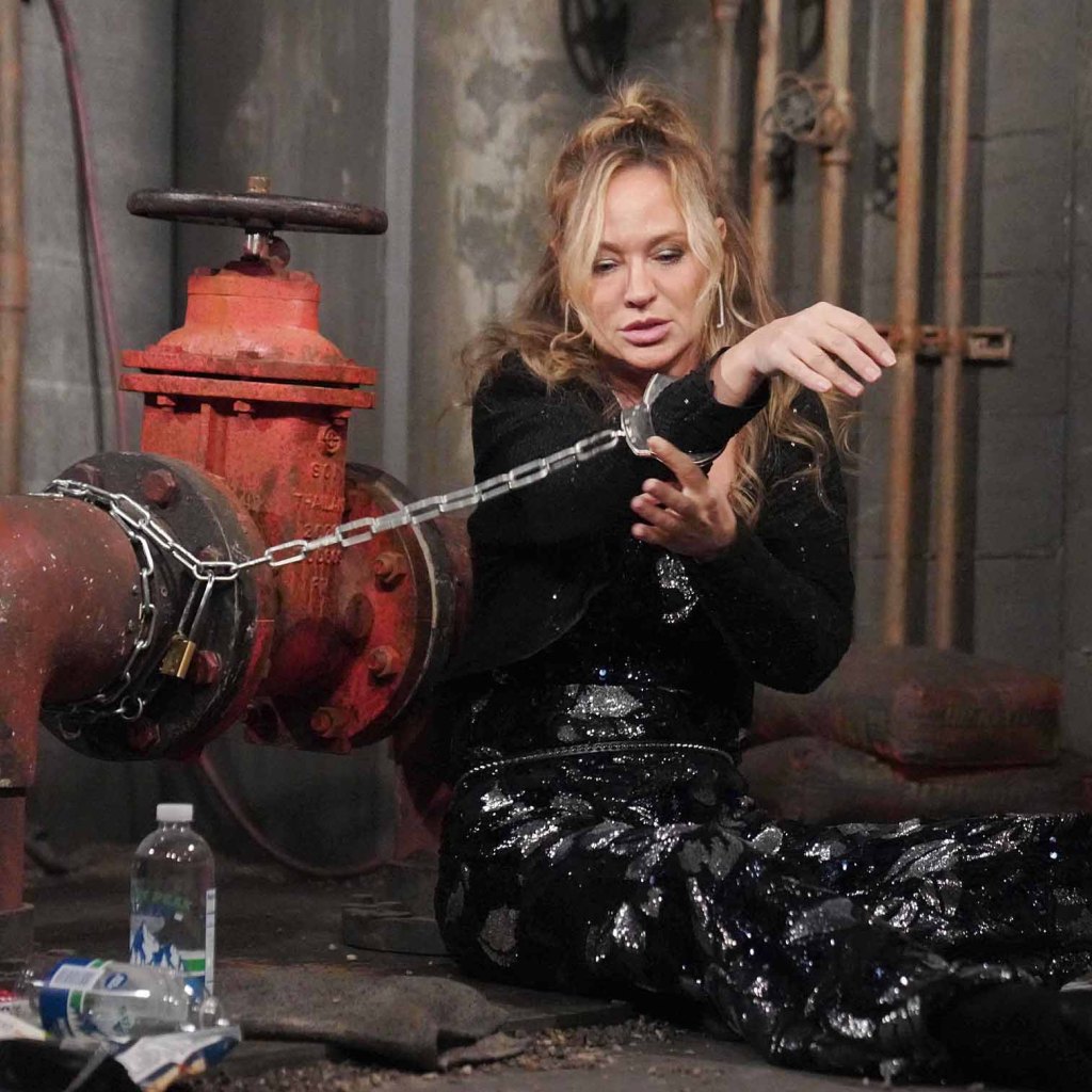 sharon case, the young and the restless