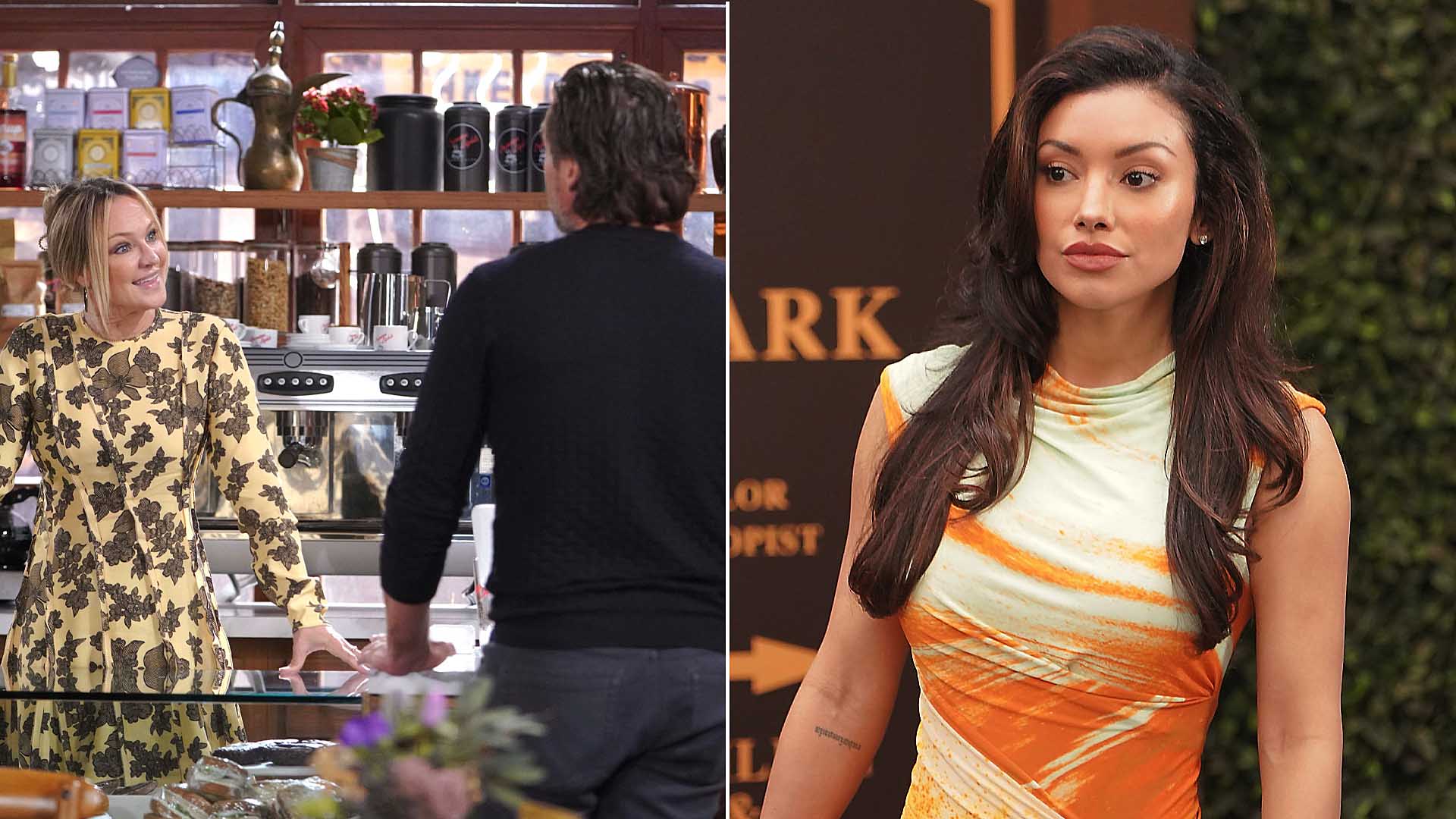 joshua morrow, sharon case, zuleyka silver