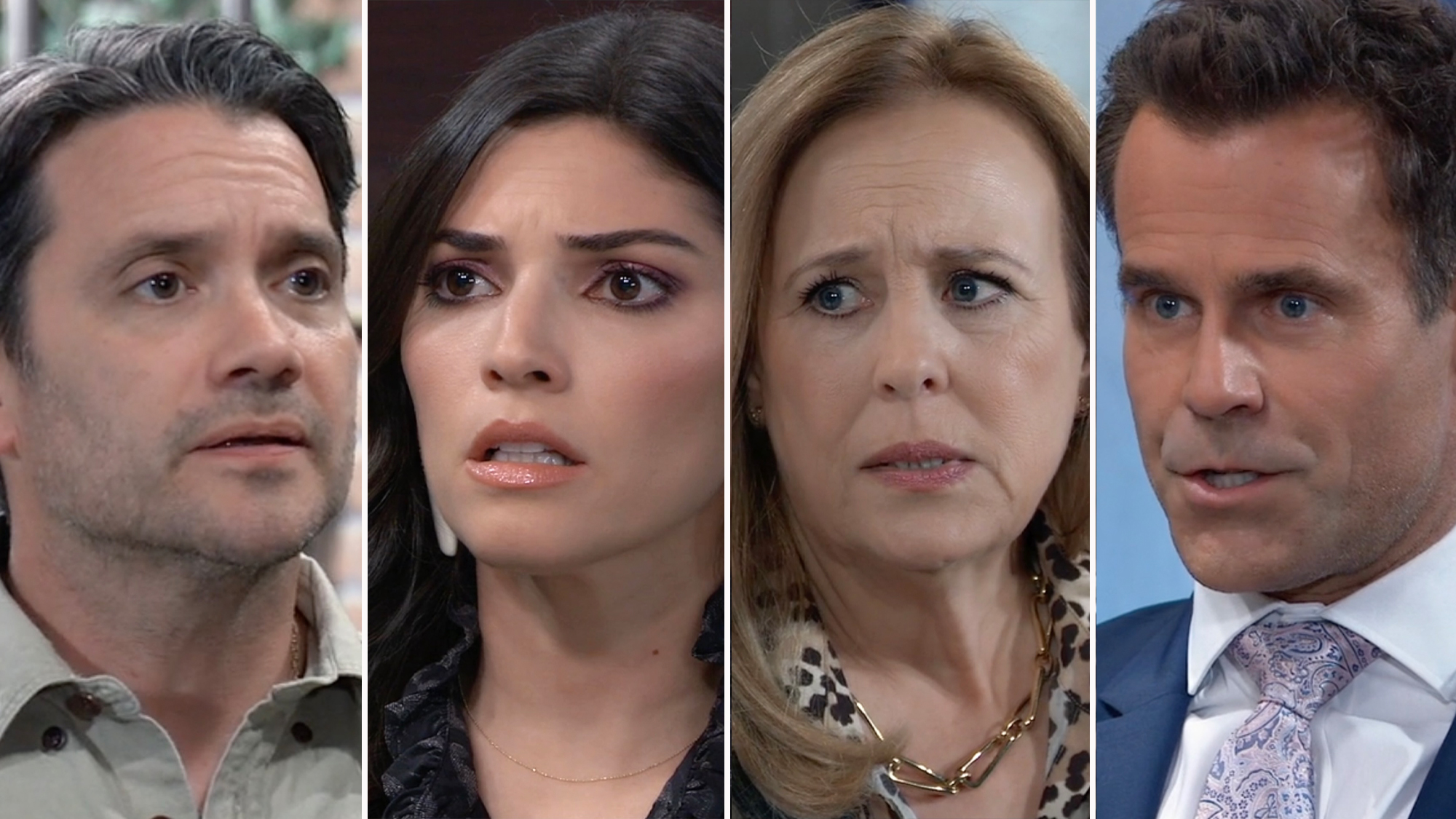 GH Dominic Zamprogna Amanda Setton Genie Francis Cameron Mathison