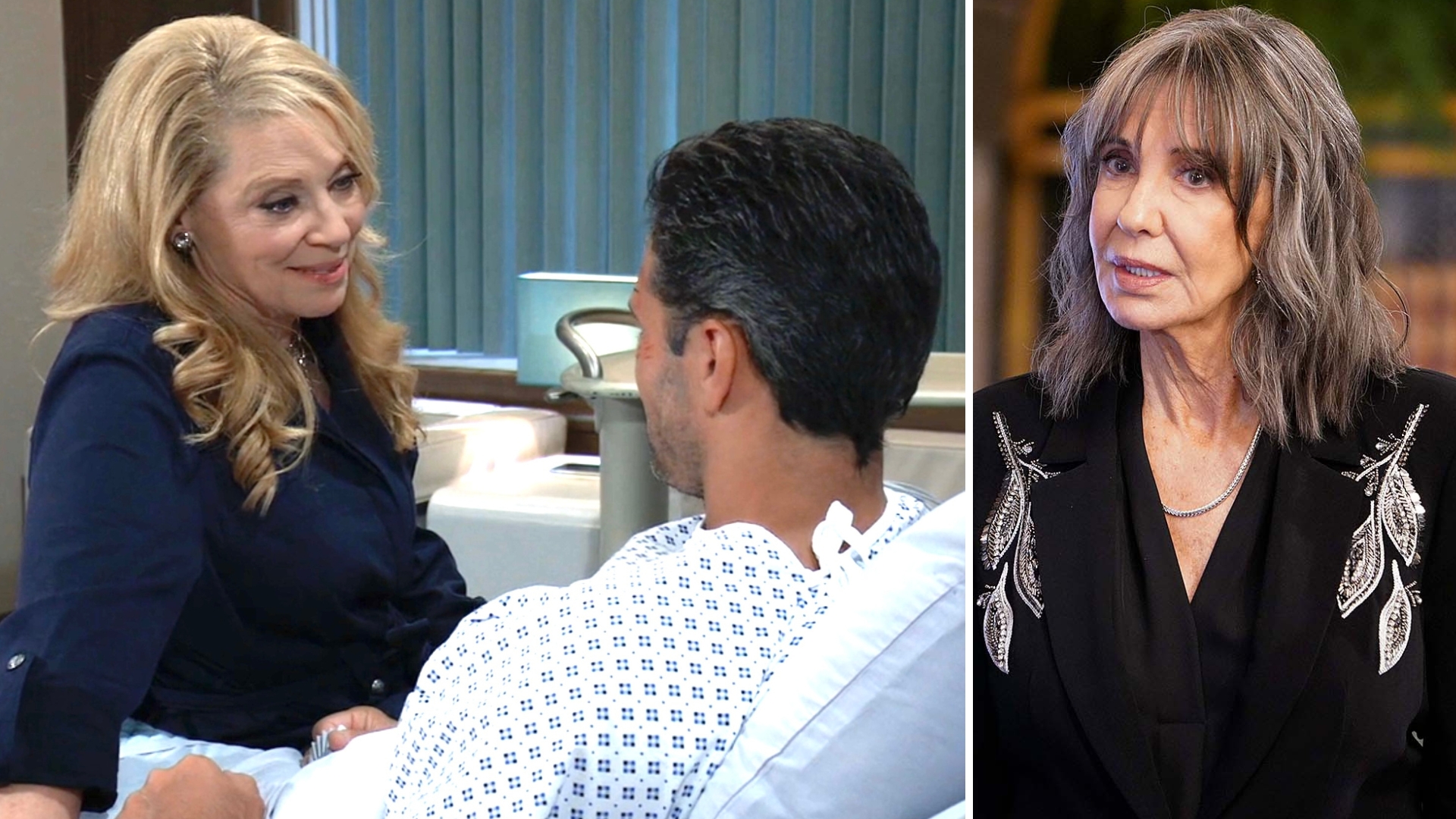 soaps liesl at nathan's beside on gh and jill on young and restless.